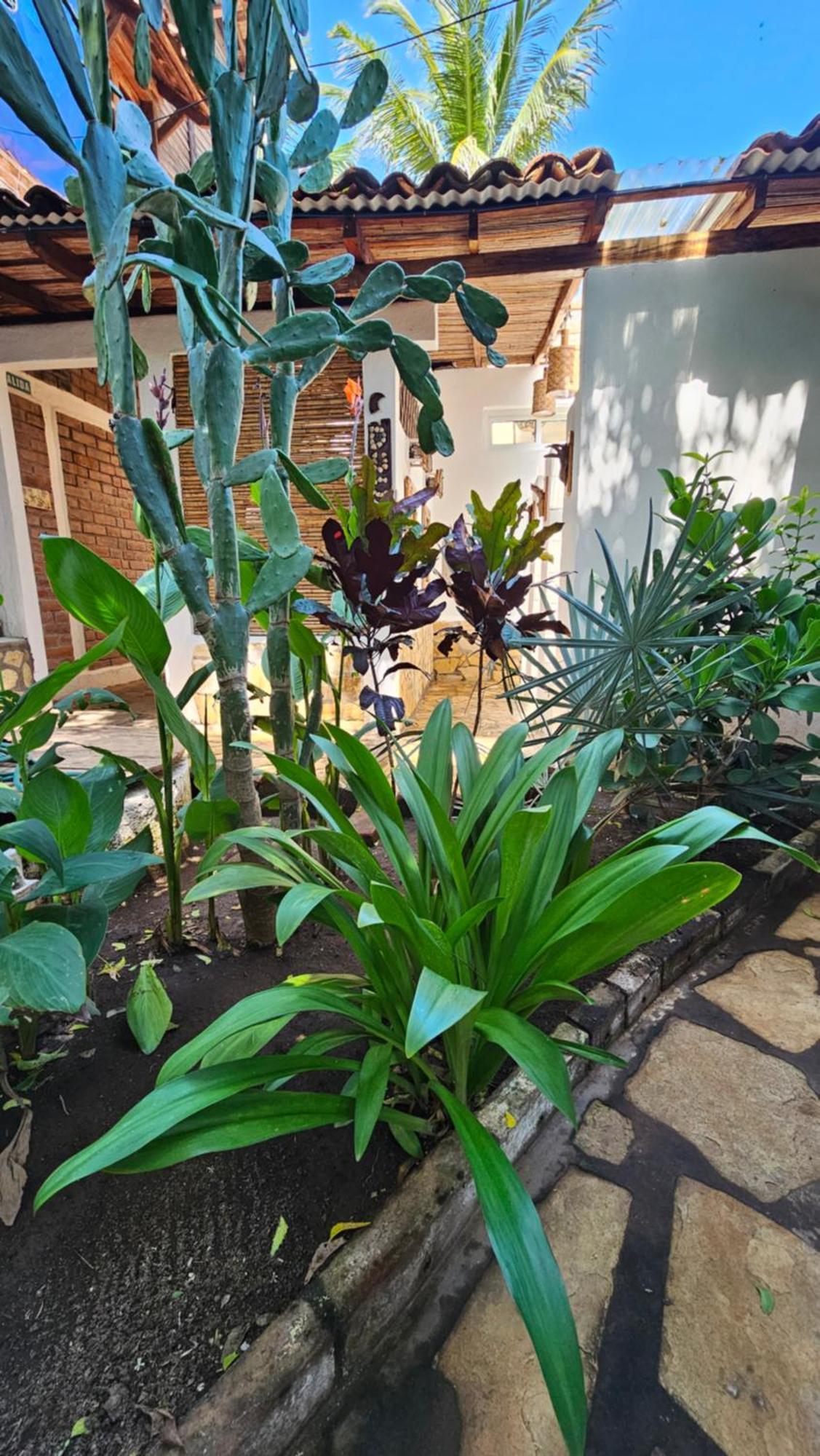 Mano A Mano Eco Hostal Las Peñitas 外观 照片
