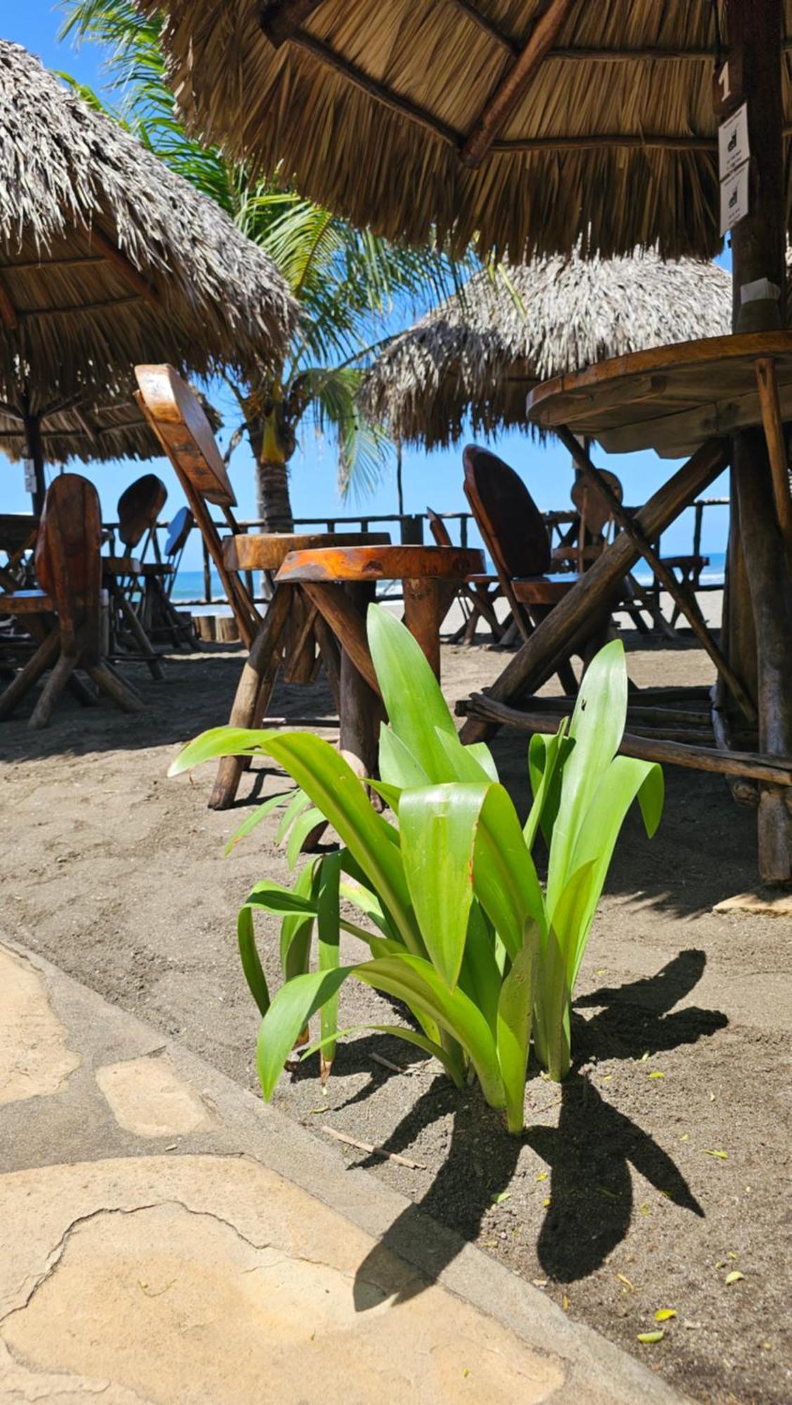 Mano A Mano Eco Hostal Las Peñitas 外观 照片